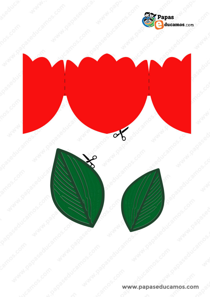 Plantilla recortable de un tulipán para manualidad del Día del Padre. Contiene pétalos rojos con líneas de doblez y dos hojas verdes con indicaciones para recortar. Ideal para agregar un mensaje o foto en su interior.