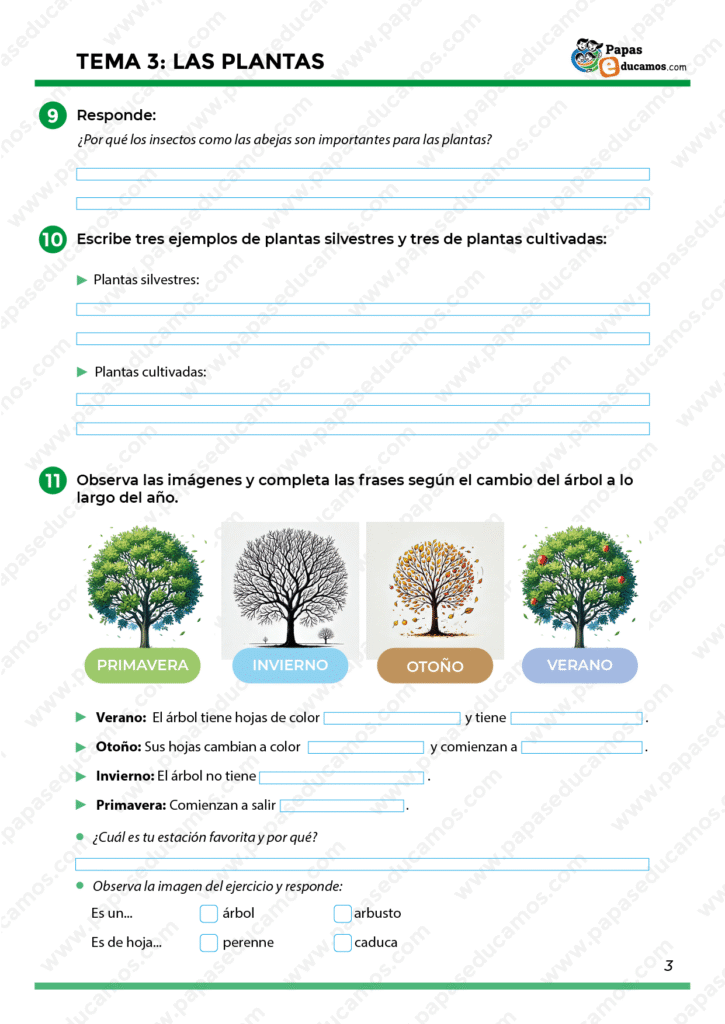 Actividades sobre la importancia de los insectos como las abejas, ejemplos de plantas silvestres y cultivadas, y una observación estacional de los cambios en los árboles a lo largo del año.