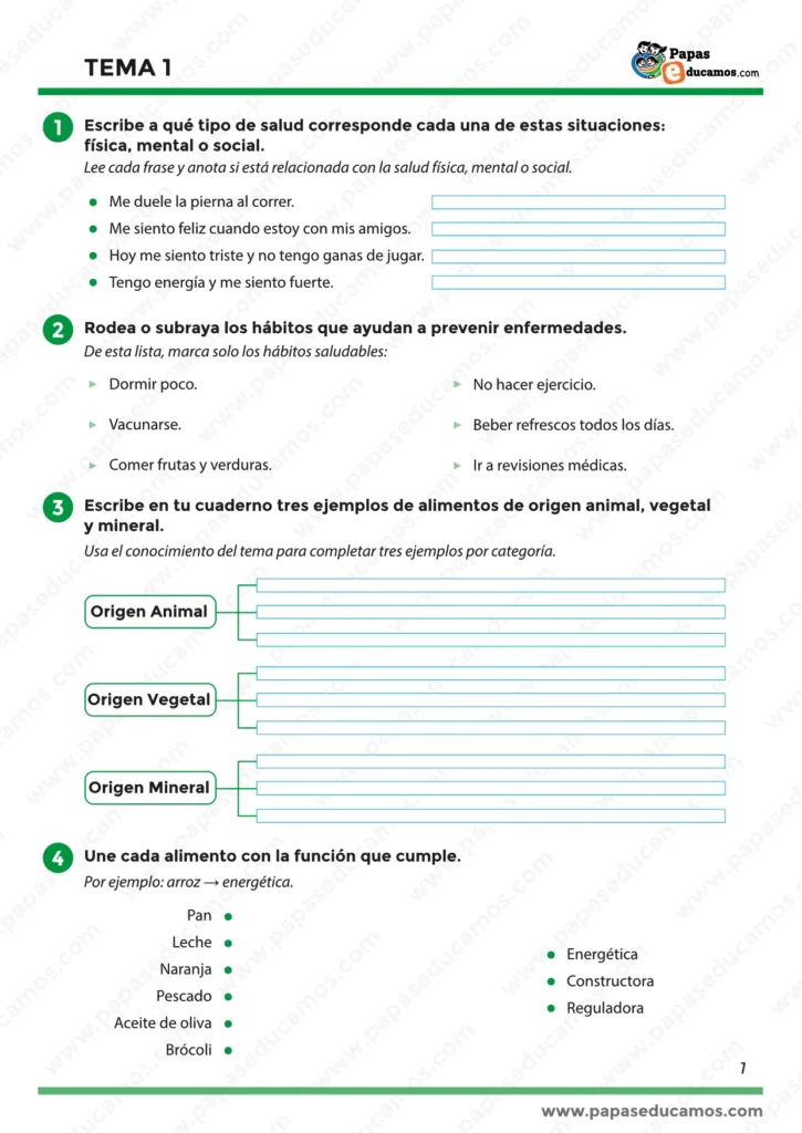 "Ejercicios de Conocimiento del Medio cuarto de primaria: tipos de salud, hábitos saludables y clasificación de alimentos."