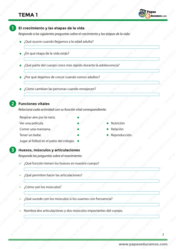 Actividades sobre el crecimiento y las etapas de la vida, funciones vitales del cuerpo humano y el sistema locomotor con preguntas sobre huesos, músculos y articulaciones.
