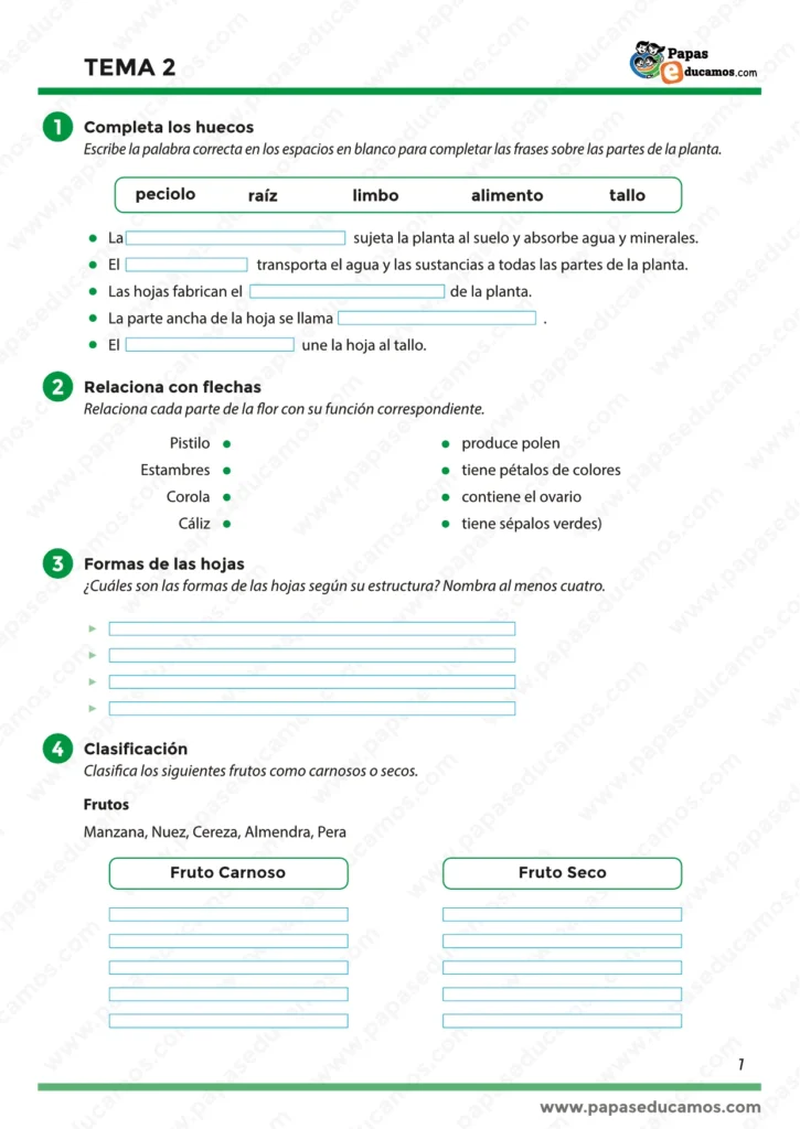 "Ejercicios de Conocimiento del Medio cuarto de primaria, tema 2: las partes de las plantas, funciones de la flor, frutos y clasificación de plantas."