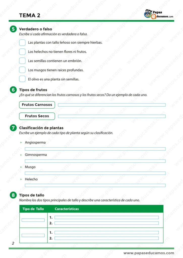 "Ejercicios de Conocimiento del Medio para cuarto de primaria: partes de la planta, funciones de la flor, formas de hojas y clasificación de frutos."