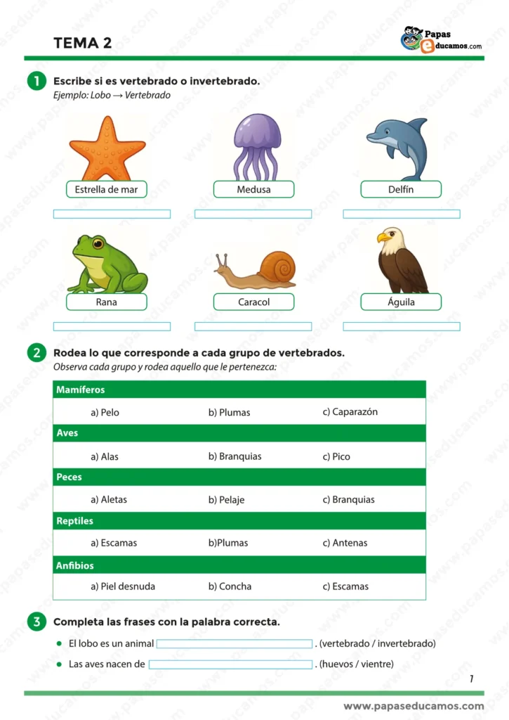 Ejercicios para escribir si un animal es vertebrado o invertebrado, asociar características a los grupos de vertebrados y completar frases sobre reproducción y clasificación.