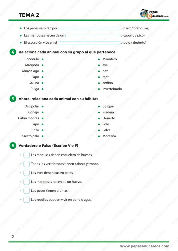 Actividades para asociar animales con sus grupos zoológicos y hábitats, y para responder verdadero o falso sobre características de animales, nacimientos y formas de vida.