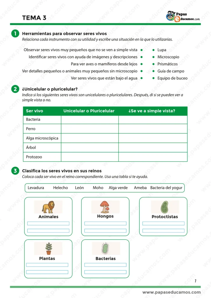 Ficha escolar de Conocimiento del Medio, Tema 3. Ejercicios sobre herramientas para observar seres vivos, clasificación entre unicelulares y pluricelulares, y actividades para clasificar los seres vivos en sus reinos: animales, plantas, hongos, bacterias y protoctistas."