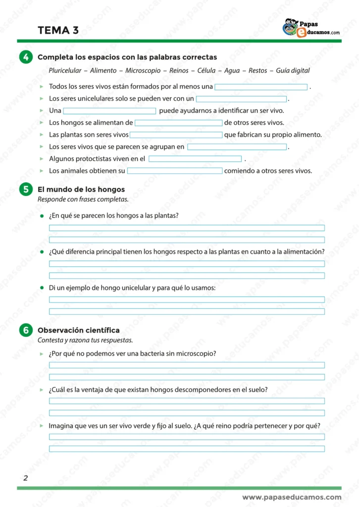 "Ficha educativa de Conocimiento del Medio, Tema 3. Actividades para completar frases sobre células, alimento, reinos y agua; preguntas sobre el mundo de los hongos y ejercicios de observación científica para razonar sobre bacterias, hongos descomponedores y clasificación de seres vivos."