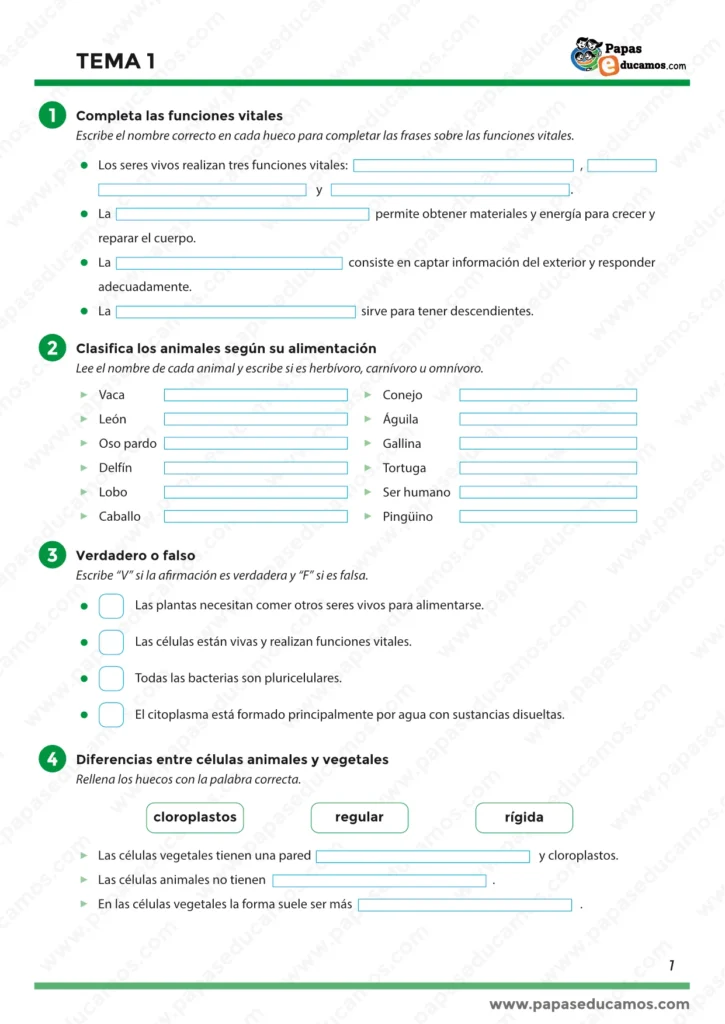 Hoja de ejercicios de Conocimiento del Medio, quinto de primaria. Contiene actividades para completar frases sobre funciones vitales, clasificar animales según su alimentación (herbívoros, carnívoros y omnívoros), responder verdadero o falso sobre las células y diferenciar entre células animales y vegetales. Forma parte del Tema 1 “Una gran variedad de Seres Vivos”.
