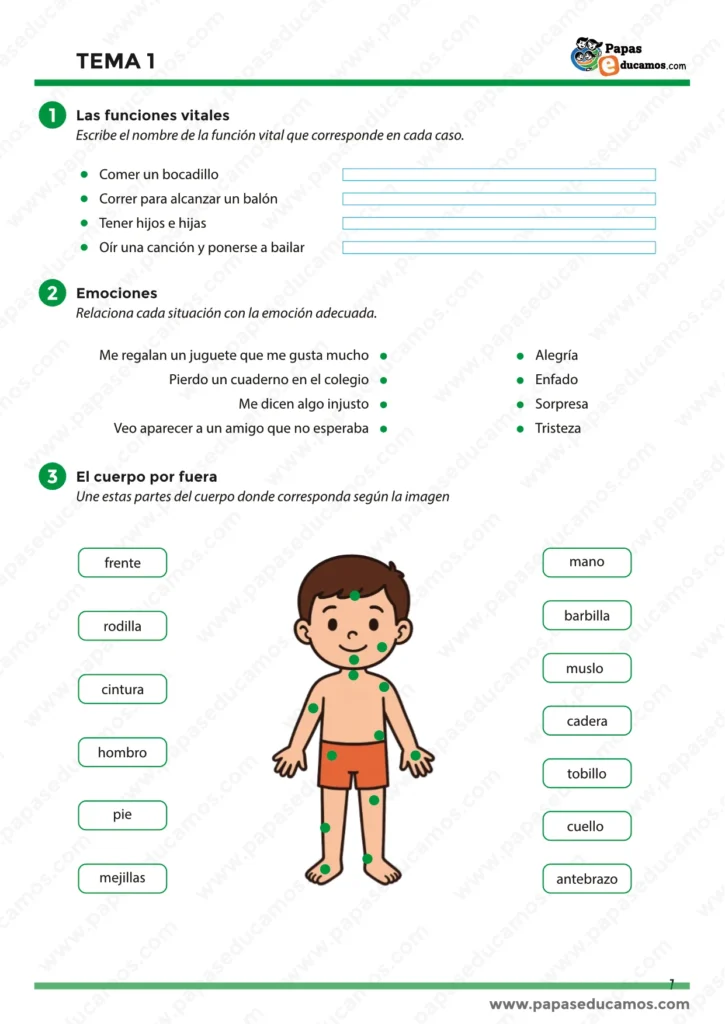 ejercicios_tema_01_cono_3_primaria_01 Hoja de ejercicios de Conocimiento del Medio para tercero de primaria. Contiene actividades para identificar las funciones vitales a partir de ejemplos cotidianos, relacionar situaciones con emociones (alegría, tristeza, enfado, sorpresa) y reconocer las partes externas del cuerpo humano en una ilustración de un niño.
