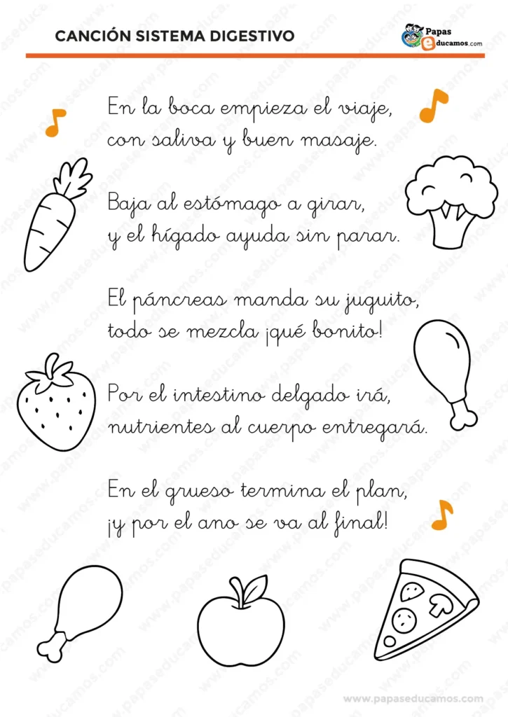 Letra de la canción “Sistema digestivo” con dibujos de alimentos para colorear y aprender el recorrido de la comida por el cuerpo.
