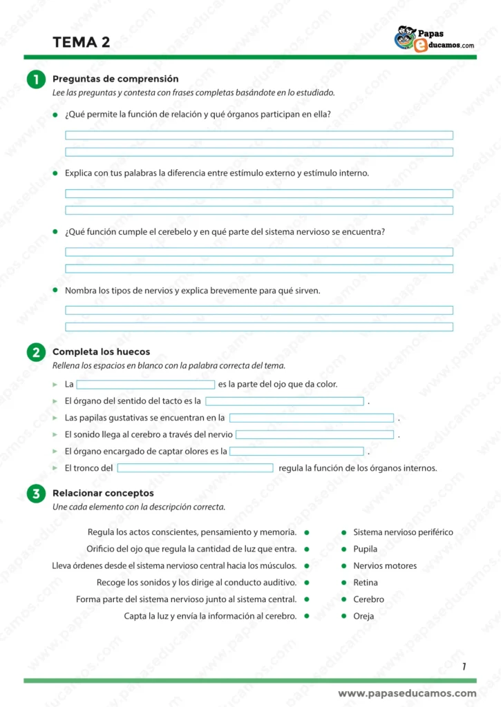 Ficha de comprensión del Tema 2: función de relación, órganos de los sentidos y sistema nervioso. Actividades para completar y relacionar conceptos.