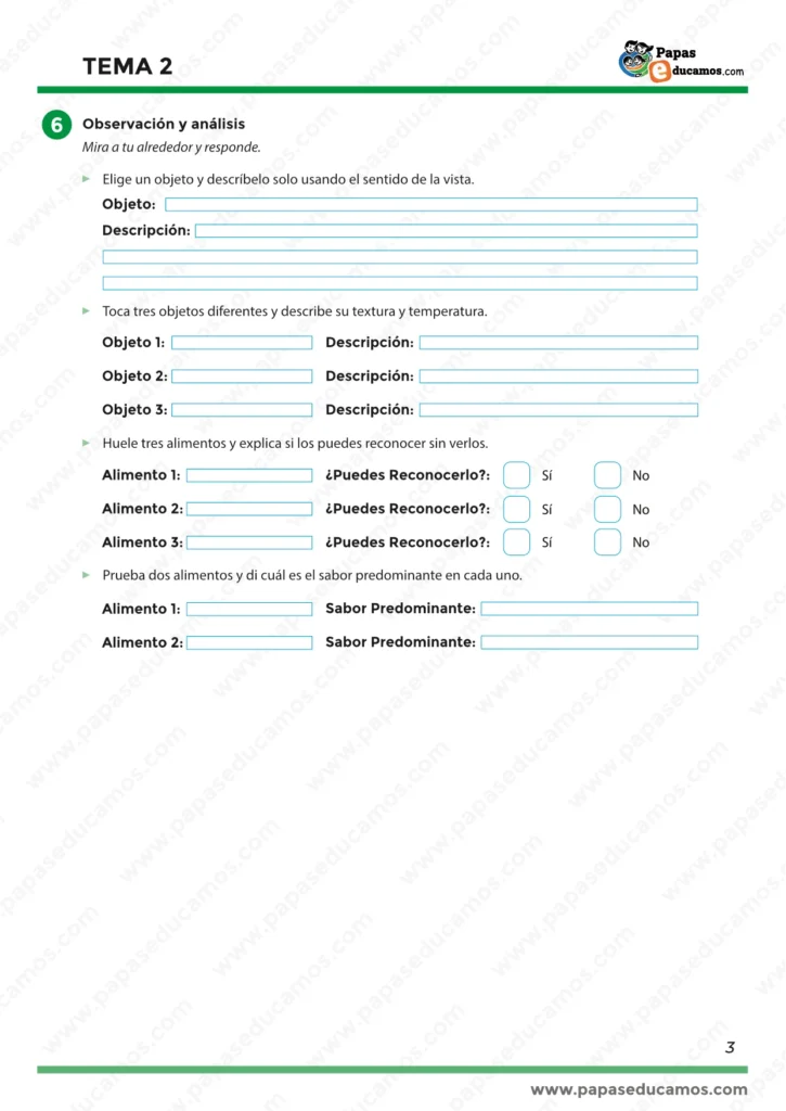 Ficha de observación y análisis: actividades para reconocer objetos, texturas, olores y sabores mediante los sentidos. Conocimiento del Medio 5º Primaria.