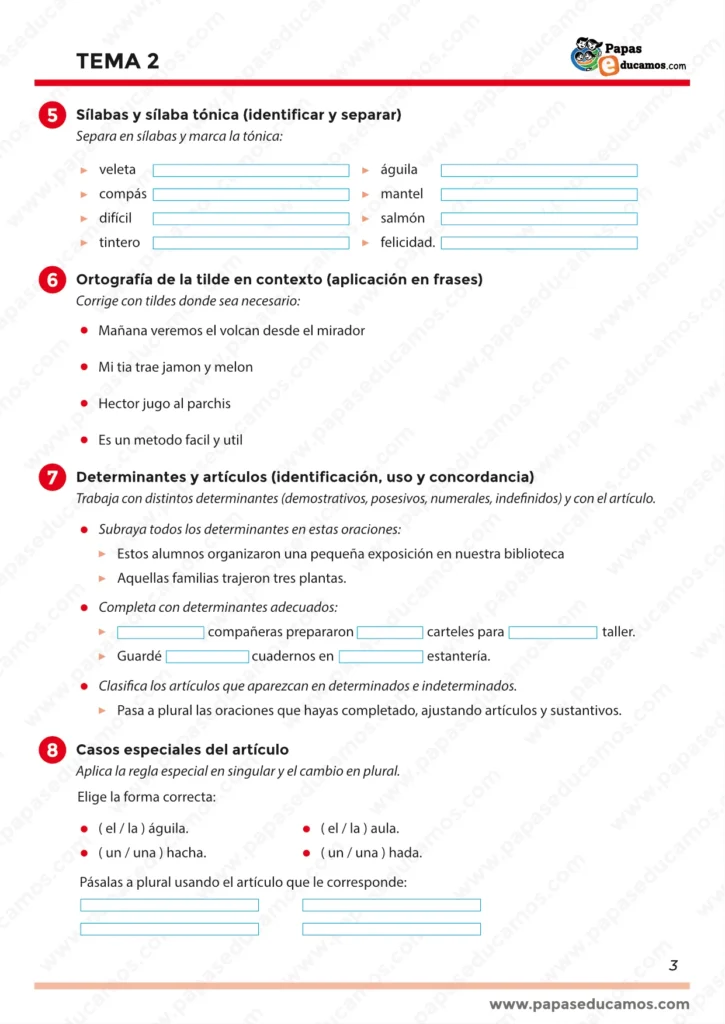 ejercicios_lengua_tema_2_5_primaria_03 Ficha de Lengua con ejercicios de sílabas, tildes y uso de determinantes y artículos.