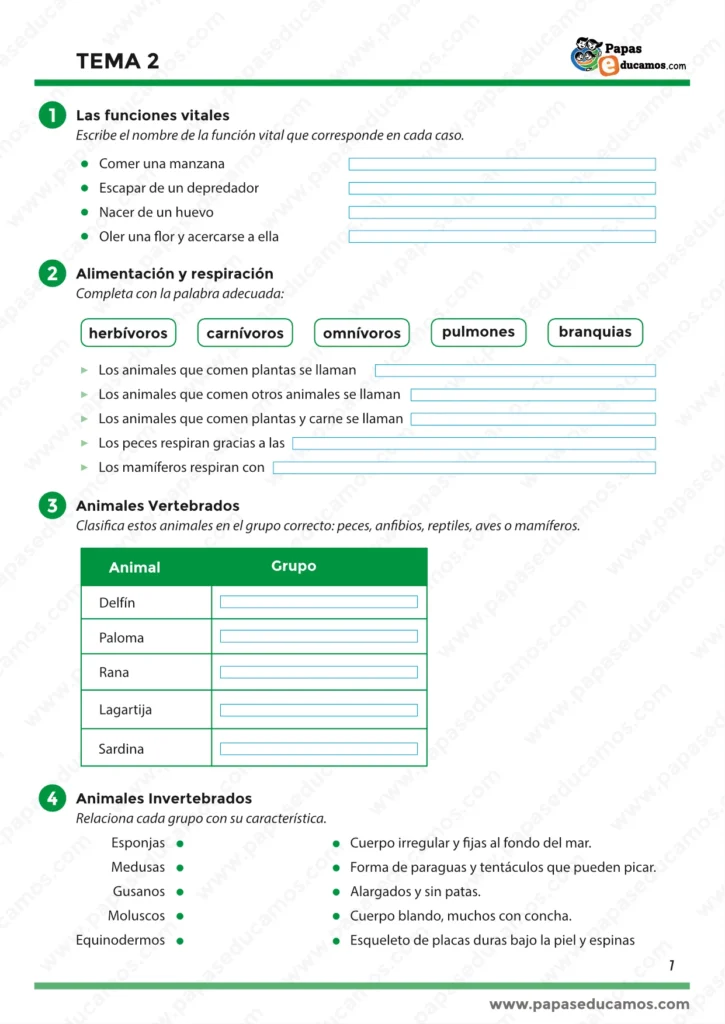 ejercicios_tema_02_cono_3_primaria_01 Ficha Tema 2: funciones vitales; tipos de alimentación y respiración; clasificación de vertebrados; invertebrados y sus características. 3º Primaria.