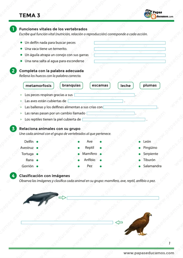 ejercicios_tema_03_cono_3_primaria_01 Ejercicios sobre las funciones vitales de los vertebrados: nutrición, relación y reproducción. Actividades para completar con vocabulario (pulmones, plumas, escamas) y clasificar animales según su grupo.