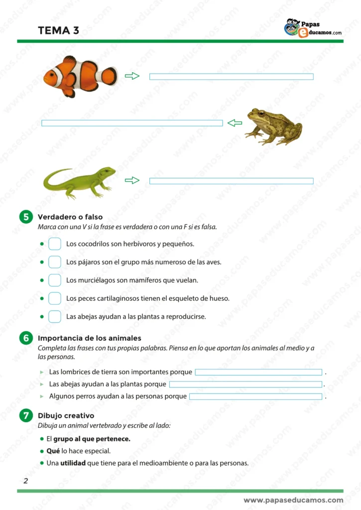 ejercicios_tema_03_cono_3_primaria_02 Segunda parte de la ficha del Tema 3 de Conocimiento del Medio para 3.º de Primaria. Contiene actividades para clasificar animales según su grupo, ejercicios de verdadero o falso sobre los vertebrados y preguntas sobre la importancia de los animales en el medio ambiente. Incluye también una sección de dibujo creativo.