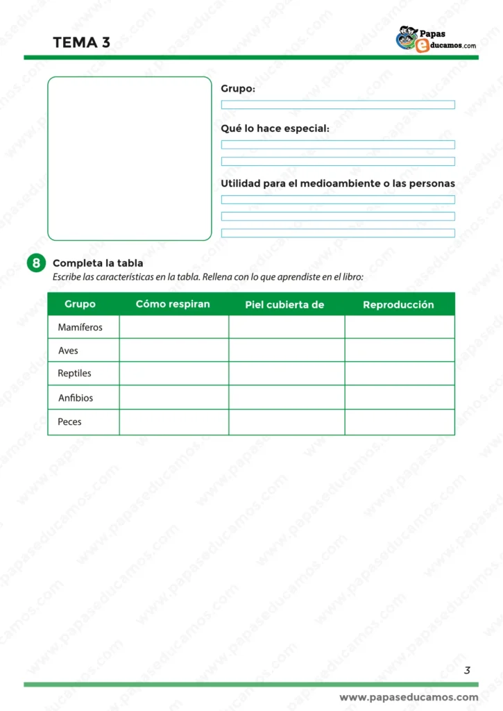 ejercicios_tema_03_cono_3_primaria_03 Tercera hoja del Tema 3 de Ciencias Naturales para 3.º de Primaria. Presenta una tabla para completar con las características de los mamíferos, aves, reptiles, anfibios y peces: cómo respiran, tipo de piel y forma de reproducción. Ideal para repasar los grupos de vertebrados en clase o en casa.