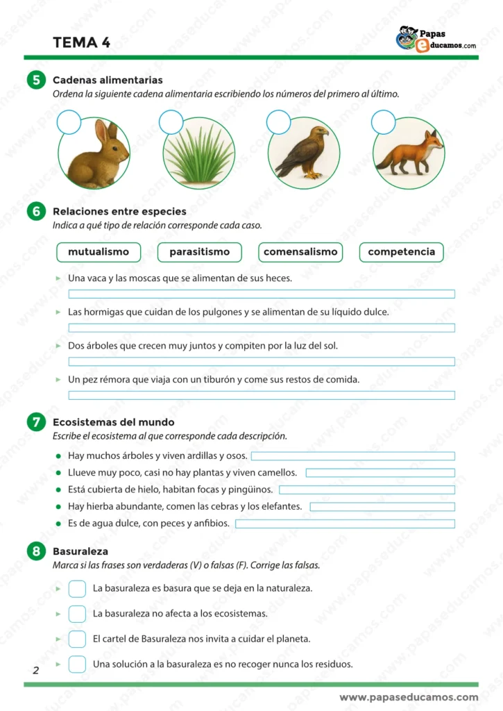 ejercicios_tema_04_cono_3_primaria_02 Página 2 de las fichas del Tema 4 de Conocimiento del Medio para 3º de Primaria. Actividades para clasificar ecosistemas, crear cadenas alimentarias y relacionar tipos de interacción entre especies como mutualismo, comensalismo y depredación.