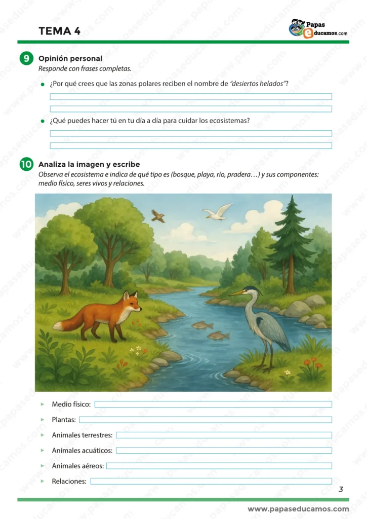 ejercicios_tema_04_cono_3_primaria_03 Página 3 del Tema 4 de Conocimiento del Medio de 3º de Primaria. Fichas con ejercicios sobre ecosistemas del mundo, preguntas de reflexión ambiental y actividades de observación para identificar elementos vivos y no vivos en un entorno natural.