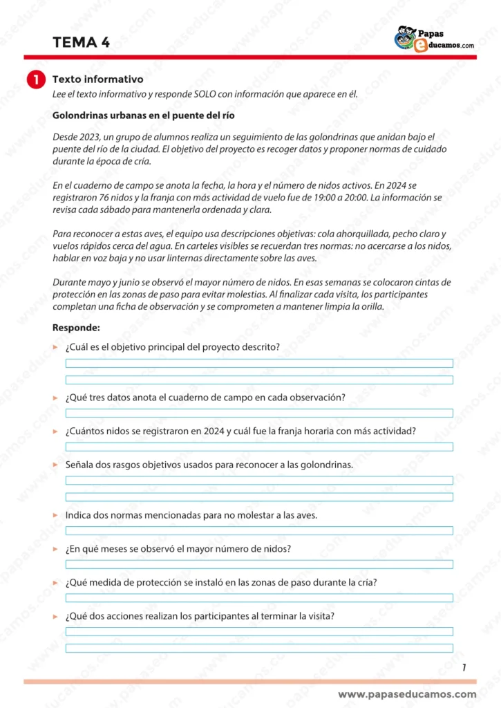 ejercicios_lengua_tema_4_5_primaria_01 Página 1 del Tema 4 de Lengua para 5º de Primaria. Contiene el texto informativo “Golondrinas urbanas en el puente del río” y preguntas de comprensión sobre objetivo del proyecto, datos del cuaderno de campo, número de nidos, rasgos de las golondrinas, normas de protección y acciones finales de los participantes.