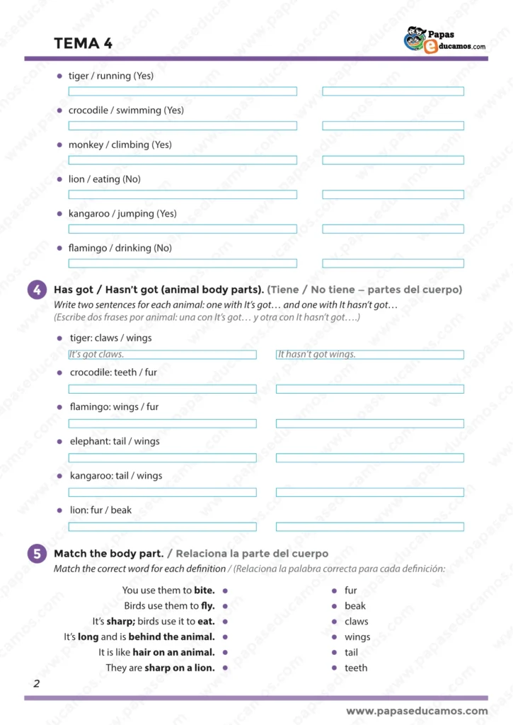 Ejercicios Tema 4 Inglés 3º Primaria: short answers, has got/hasn’t got y partes del cuerpo de animales