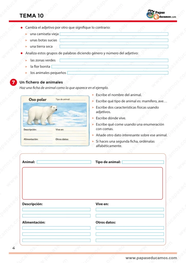 ejercicios_tema_10_lengua_3_primaria_04 Tema 10 Lengua: adjetivos (contrarios, género y número) y plantilla para crear una ficha de animal tipo ‘fichero’