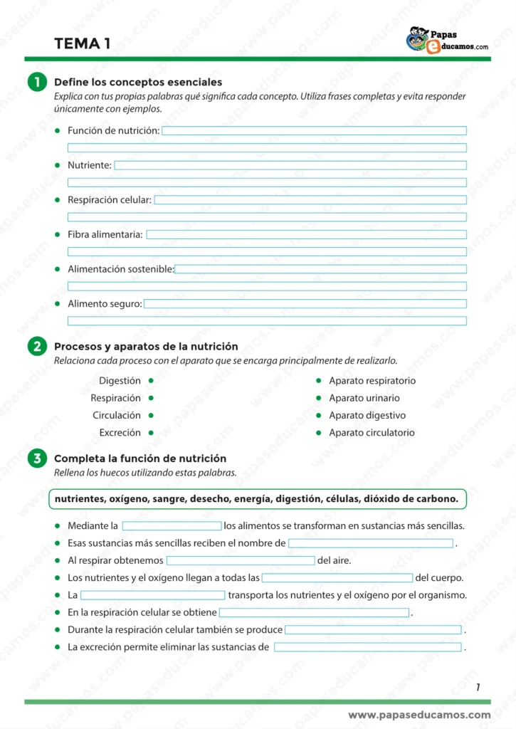 ejercicios_cono_tema_01_6_primaria_01 Ejercicios de Conocimiento del Medio 6º de Primaria sobre la función de nutrición, conceptos básicos, aparatos de la nutrición y nutrientes.