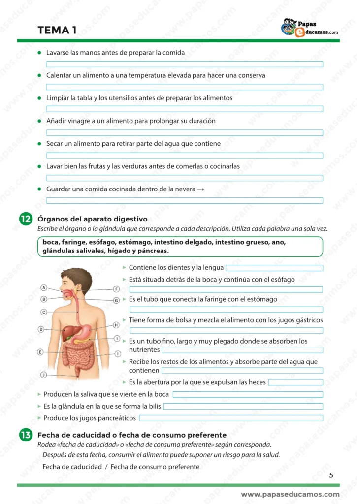 ejercicios_cono_tema_01_6_primaria_05 Actividades de Conocimiento del Medio 6º de Primaria para identificar los órganos del aparato digestivo y diferenciar la fecha de caducidad y consumo preferente.