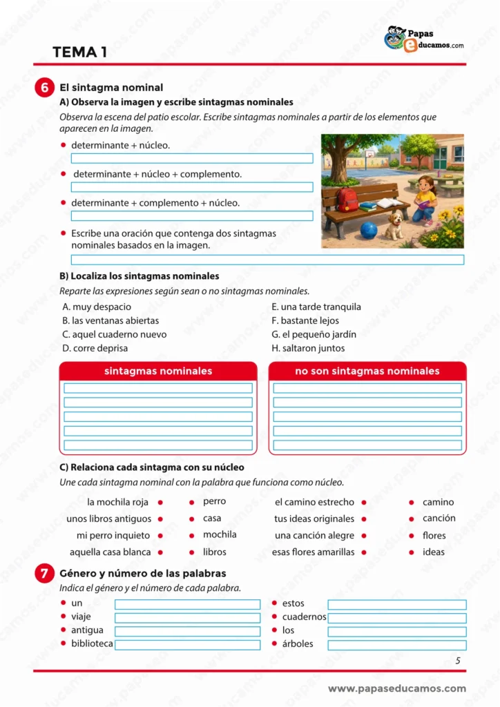 Ficha de gramática para 6º de Primaria sobre sintagma nominal, núcleo, género y número de las palabras.