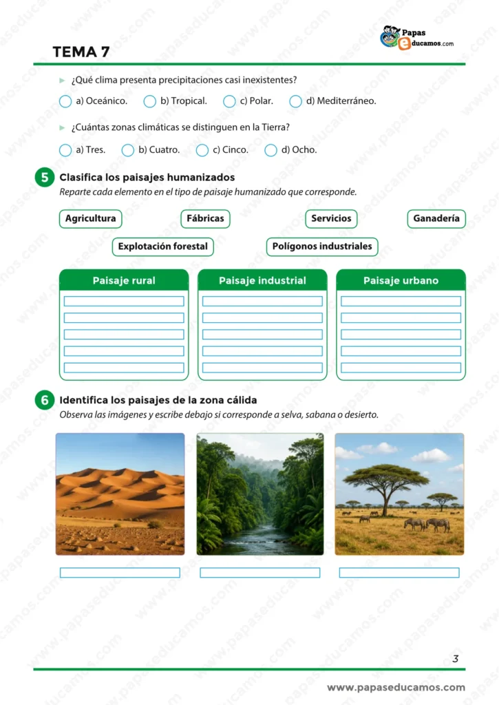 Ejercicios sobre paisajes humanizados y paisajes de la zona cálida: selva, sabana y desierto.