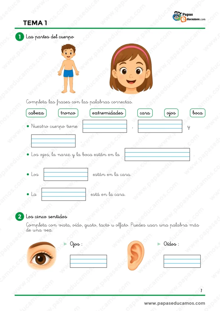 Ejercicios de Conocimiento del Medio Tema 1 de 1.º de Primaria sobre las partes del cuerpo, la cara y los cinco sentidos.