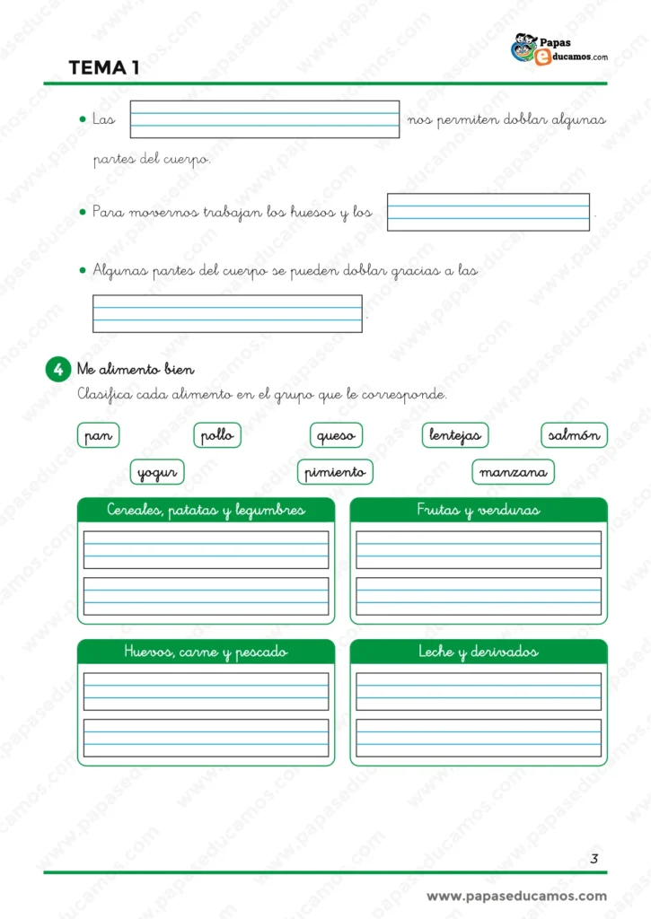 Ejercicios de Conocimiento del Medio de 1.º de Primaria sobre huesos, músculos y articulaciones y clasificación de alimentos en cereales y legumbres, frutas y verduras, carne y pescado y lácteos.