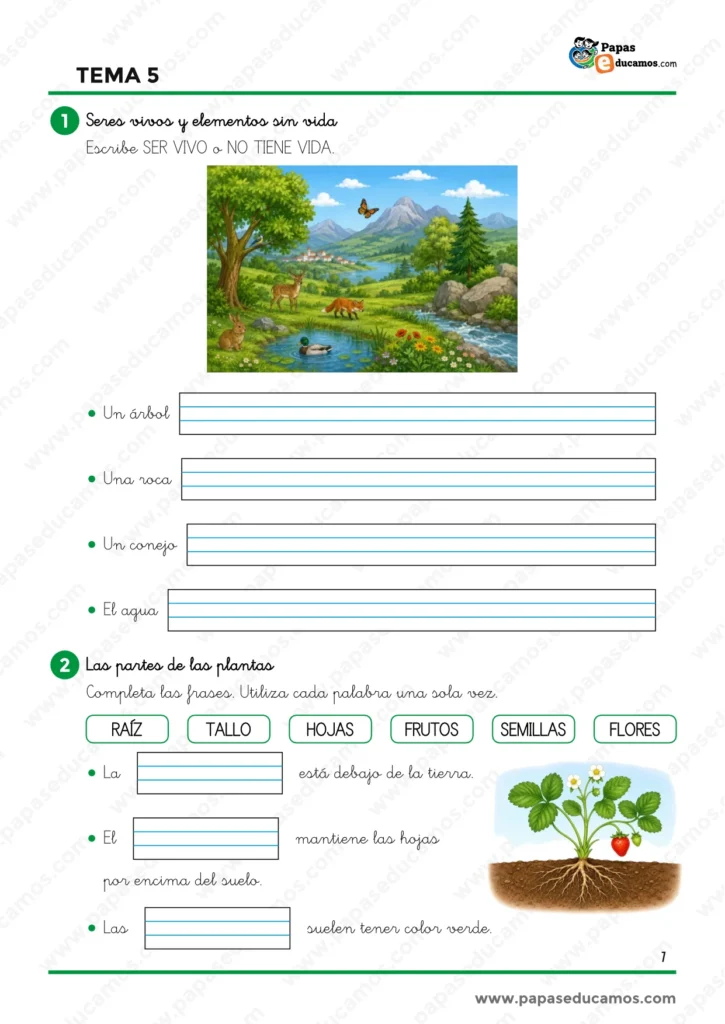 Ejercicios de Conocimiento del Medio Tema 5 de 1.º de Primaria para diferenciar seres vivos y elementos sin vida y reconocer las partes de una planta.