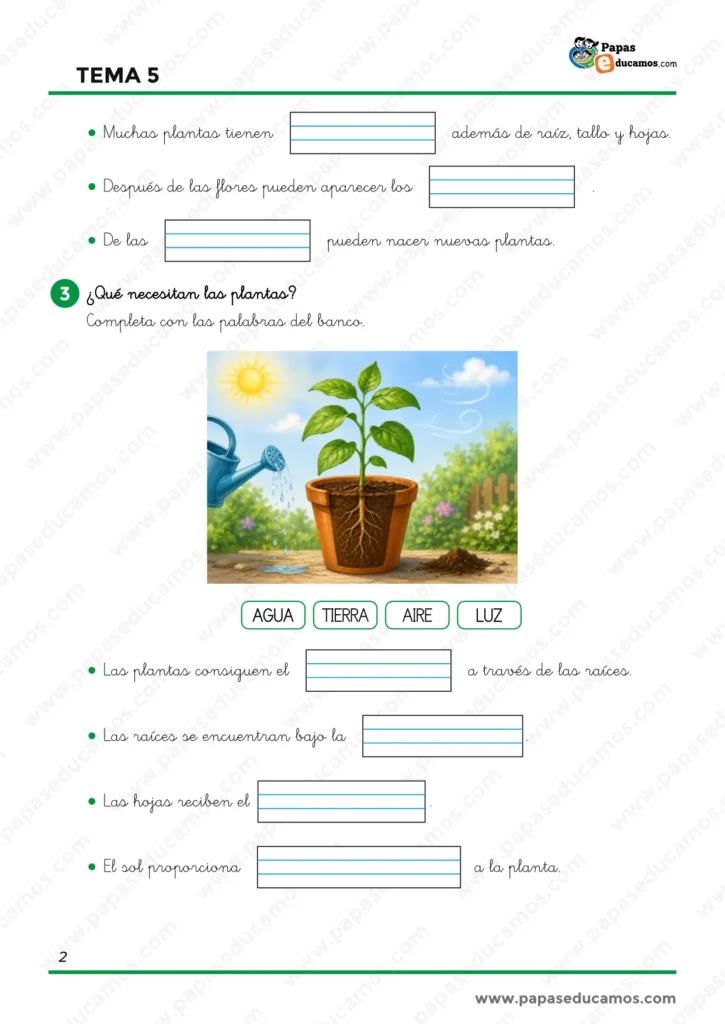 Ejercicios de Conocimiento del Medio de 1.º de Primaria sobre las partes de las plantas y sus necesidades de agua, tierra, aire y luz.