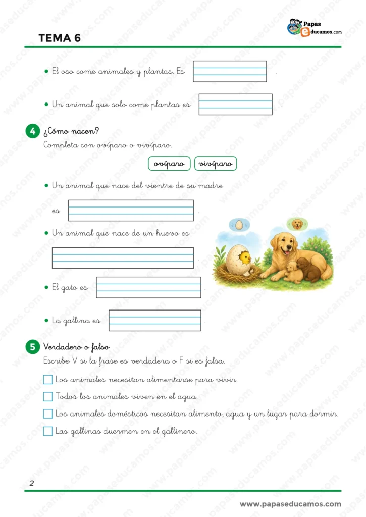 Ejercicios de Conocimiento del Medio de 1.º de Primaria sobre animales carnívoros, herbívoros y omnívoros, animales ovíparos y vivíparos y repaso con verdadero o falso.